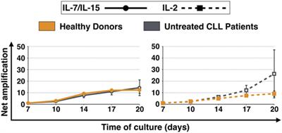 Differences in Expansion Potential of Naive Chimeric Antigen Receptor T Cells from Healthy Donors and Untreated Chronic Lymphocytic Leukemia Patients